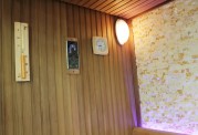|Finnische Sauna und Dampfsauna mit Dusche AU-002B|